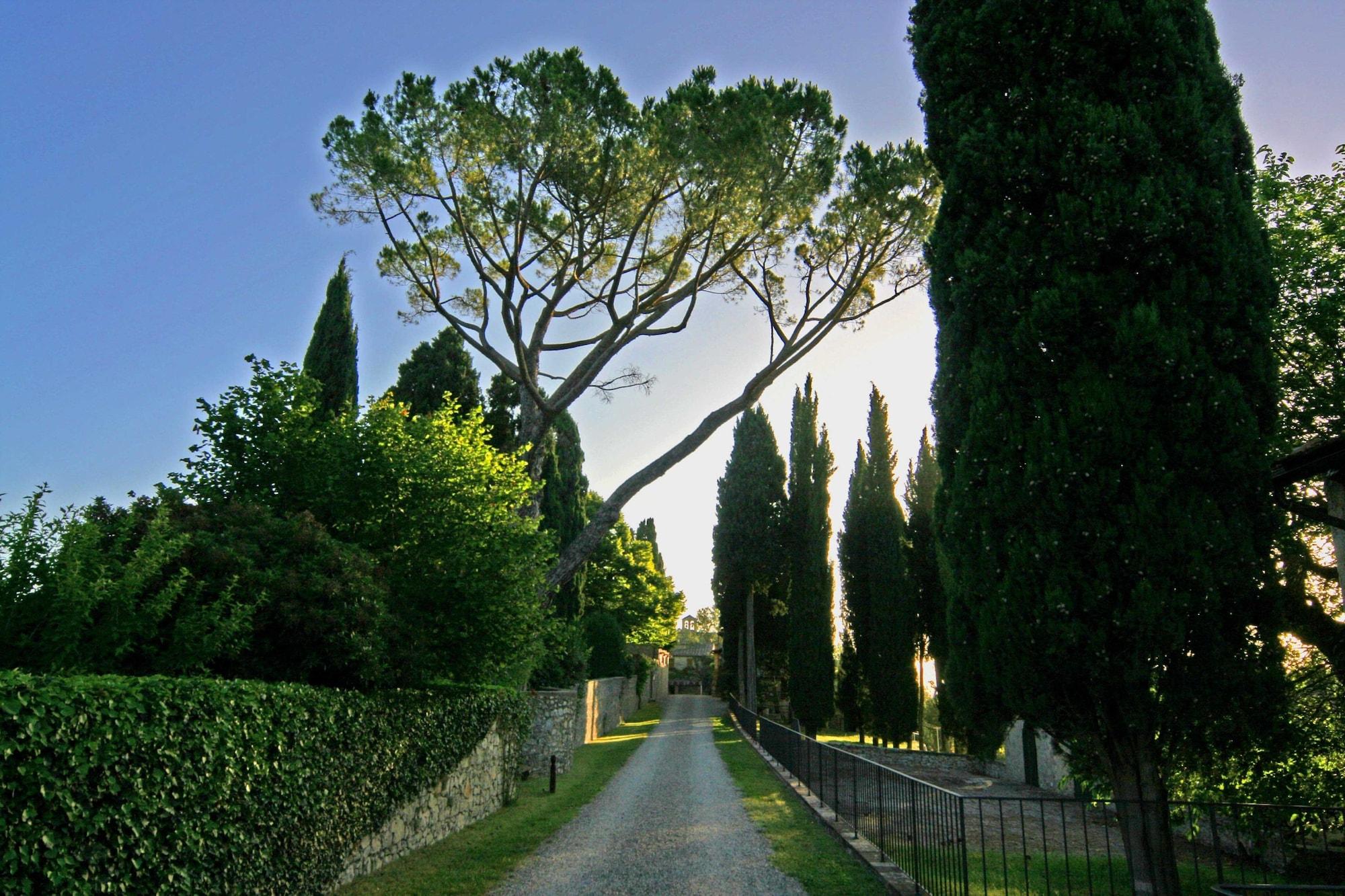 Tenuta Di Ricavo Castellina in Chianti Luaran gambar
