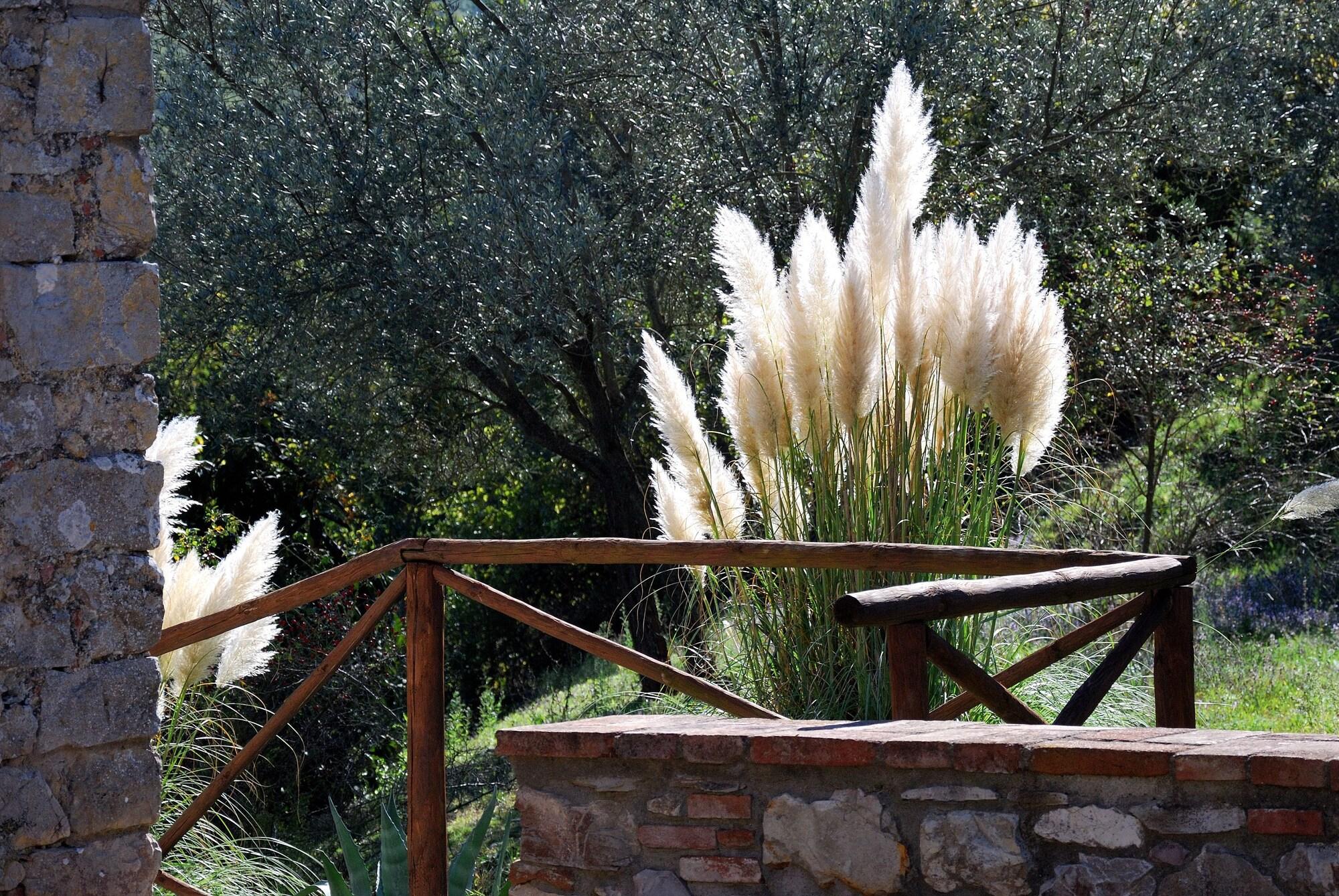 Tenuta Di Ricavo Castellina in Chianti Luaran gambar
